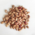 Cranberry Beans Light Speckled Kidney Beans